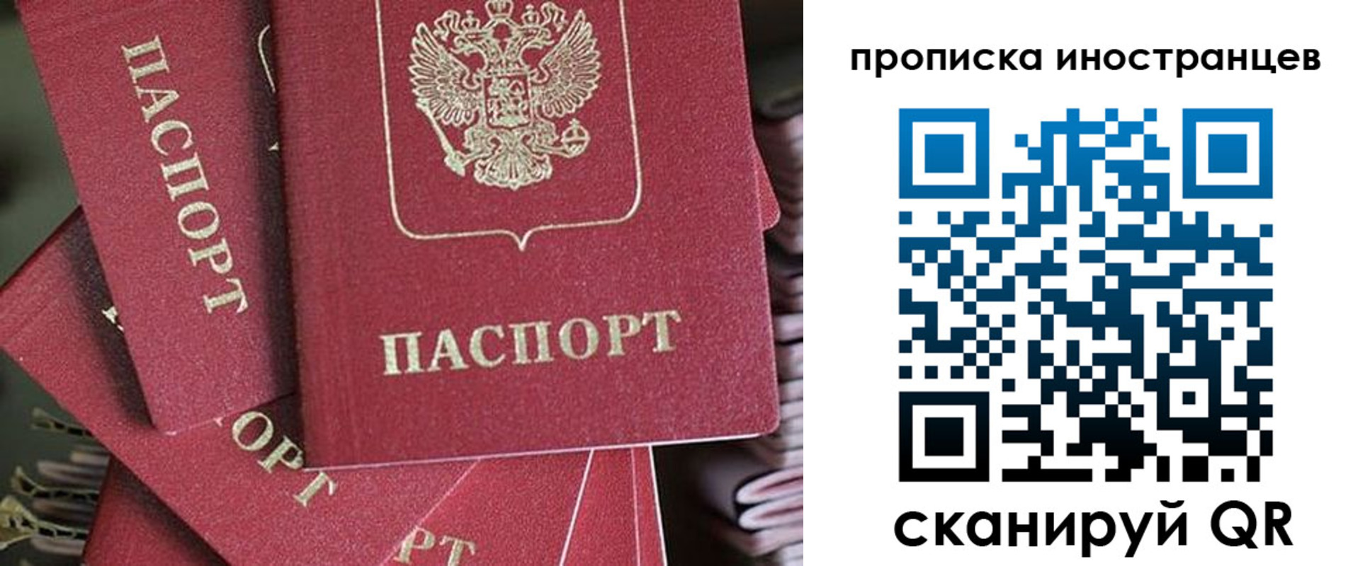 временная прописка в Палласовке